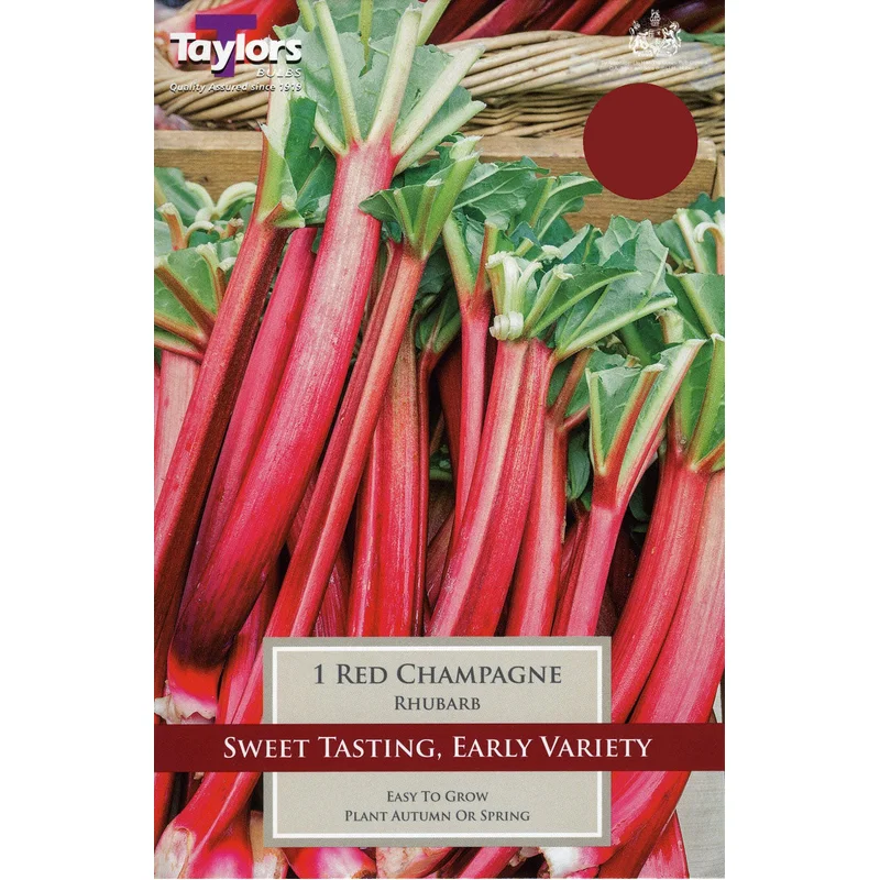 1 RHUBARB RED CHAMPAGNE