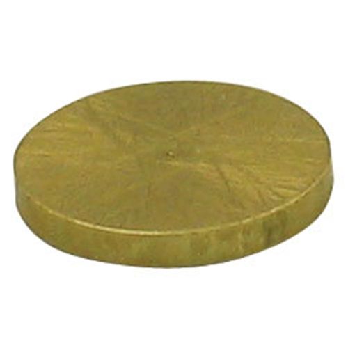 TeeJet Brass Plug Tip (CP3942)(5/BG)