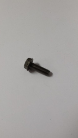 Kohler 231691-S Screw