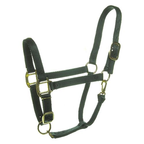 Small Horse Halter, Green