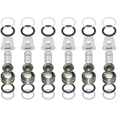 Comet 5025.0021.00 Valve Kit for TW Pumps
