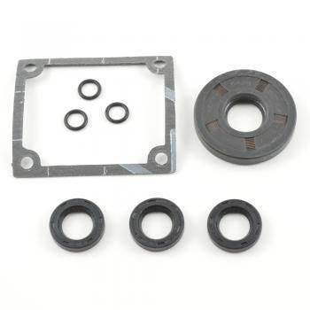 AR AR1876 Pump Seal Kit, Fits VIP Series