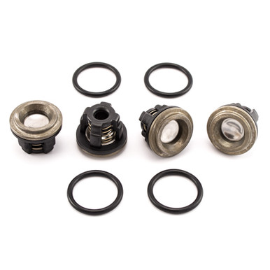 AR AR1917 Valve Repair Kit, Fits AR30 & D30