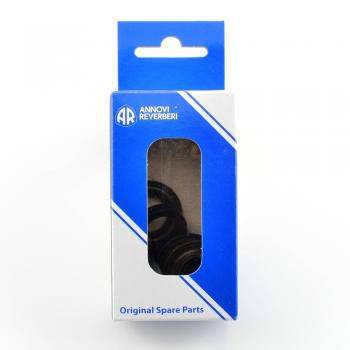 Annovi Reverberi AR42835 Valve Kit, RTX, XWP