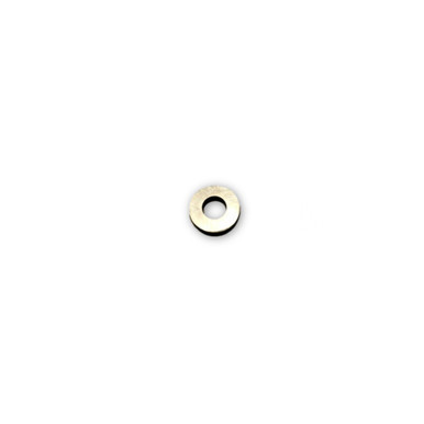 CAT Pumps 45845 Stainless Steel Inlet Valve for 4SF