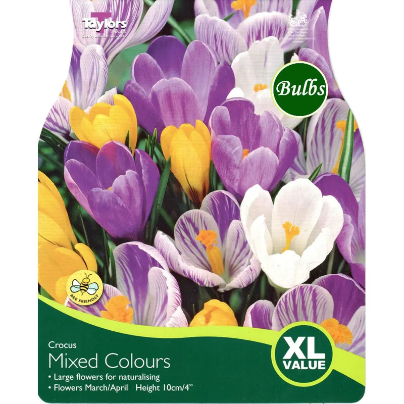 CROCUS LARGE FLOWERING MIXED