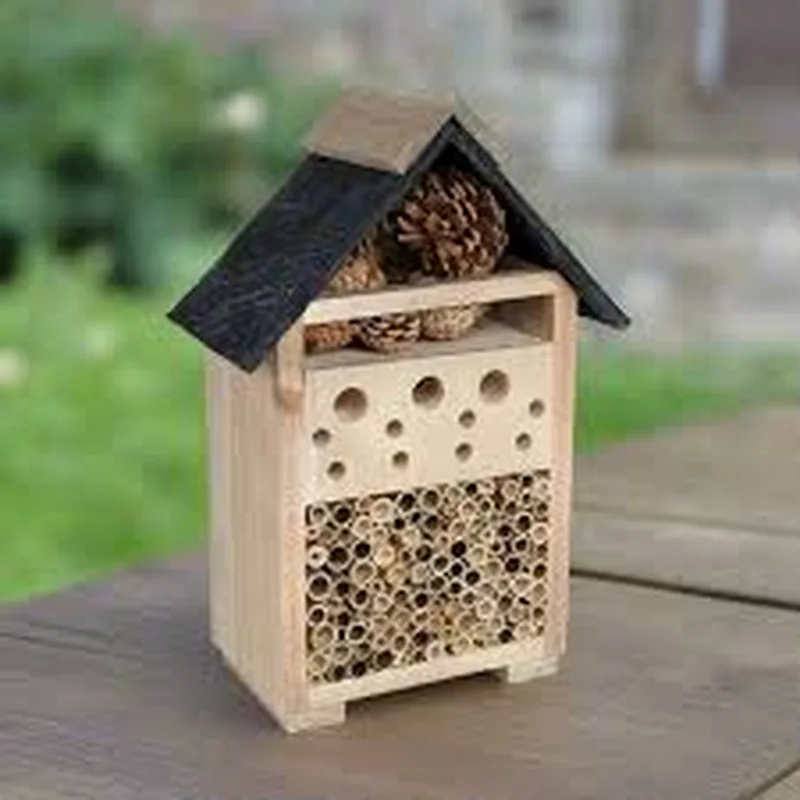 GM Bee & Bug House