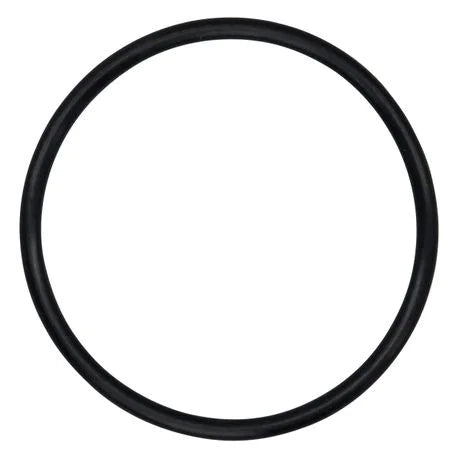 842538 – Briggs & Stratton O-Ring Seal (OEM)