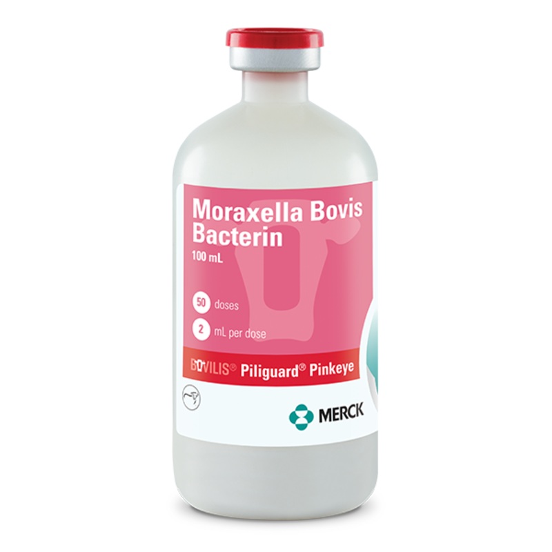Merck Bovilis Piliguard Pinkeye