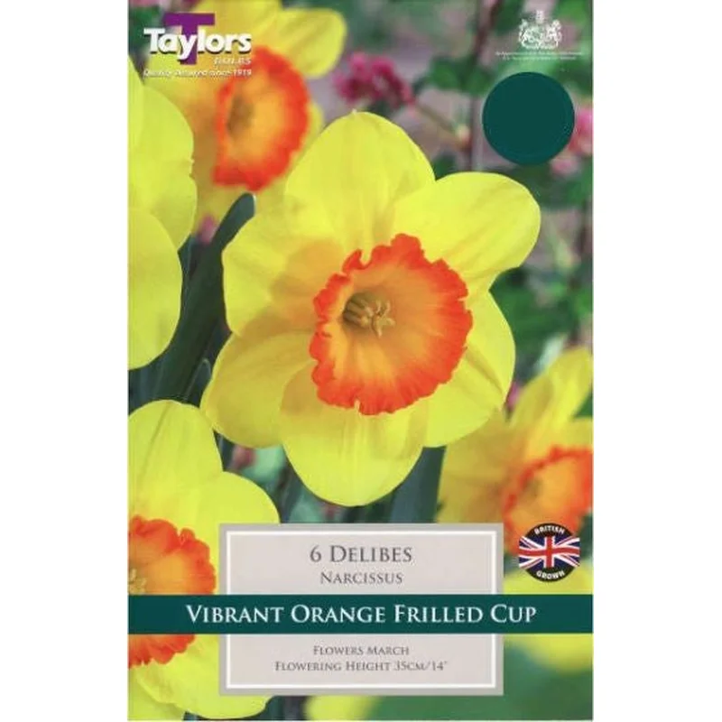 NARCISSUS DELIBES 7