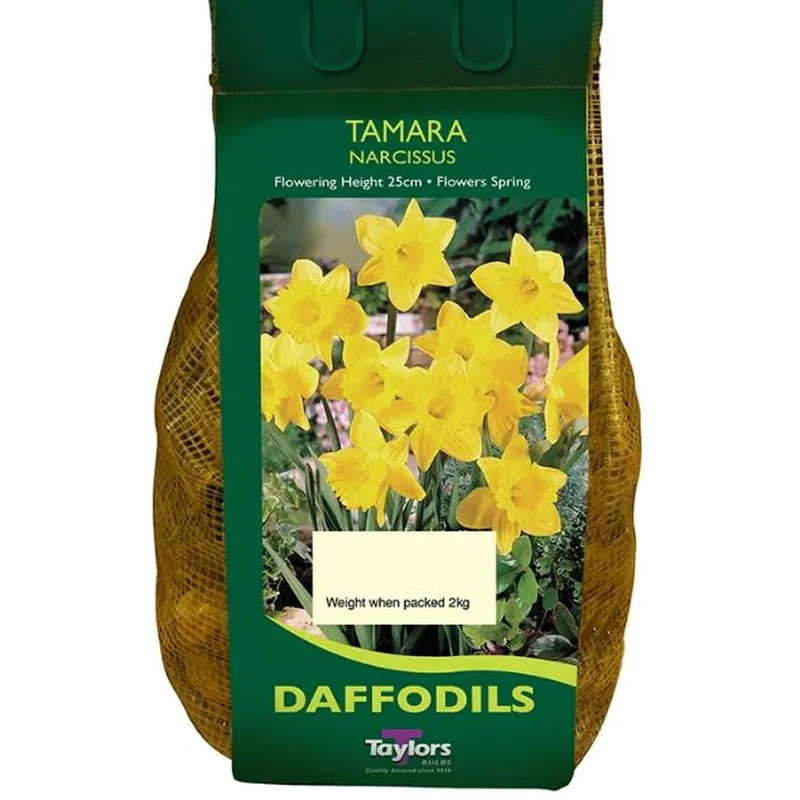 NARCISSUS TAMARA CARRI-PACK 1.5KG