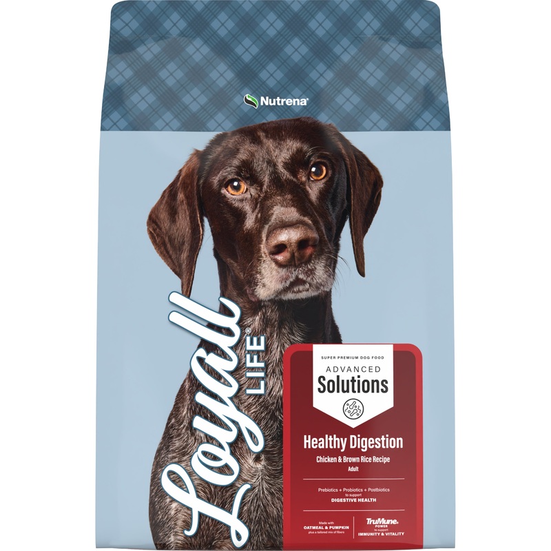 Nutrena Loyall Life Advanced Solutions Healthy Digestion Chicken & Rice Recipe Adult Dog Food