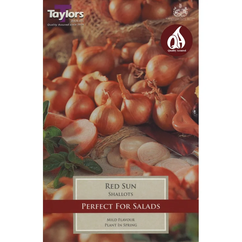 PRE-PACKED RED SUN SHALLOTS 12