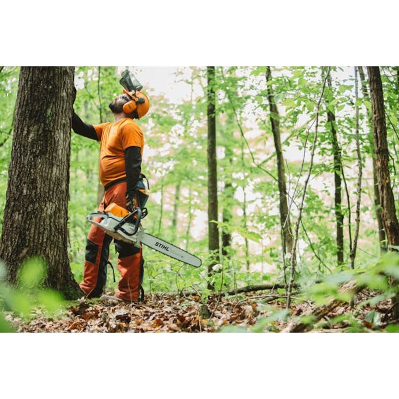 STIHL MS 462 C-M 36"