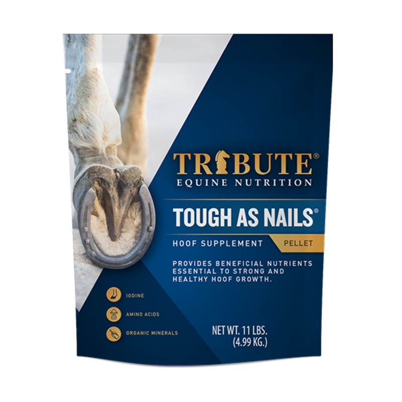 Tribute Tough As Nails-11 lbs